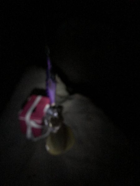 ３連休の人を避けて釣行するも、、、