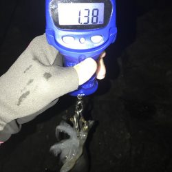 南紀でひさびさにキロアップ