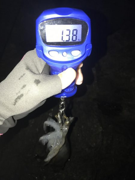 南紀でひさびさにキロアップ