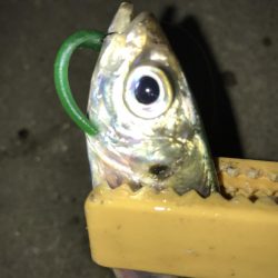 これがマゴバチの威力か！？