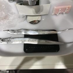 強風吹き荒ぶ中…