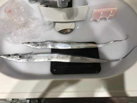 強風吹き荒ぶ中…