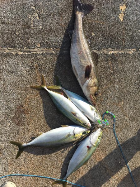 朝イチ渋く昼から爆釣