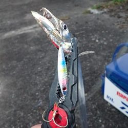 夢フィッシングさんで沖堤防！