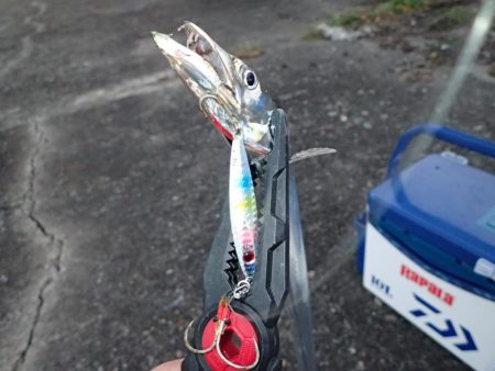 夢フィッシングさんで沖堤防！