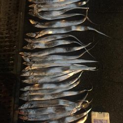 太刀魚テンヤ