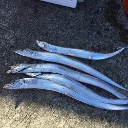 朝一、人人人…