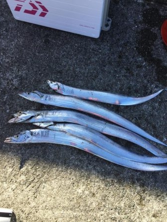 朝一、人人人…