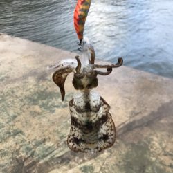 20171118-19大雨暴風たまに霰