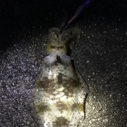 20171123曇雨晴霙