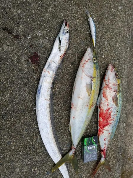 やっと釣れたで