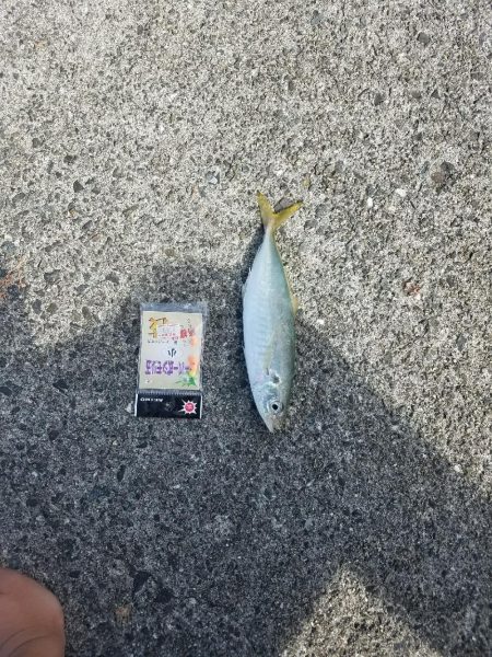 一部しか写メとってないけど