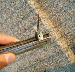 サンマ級サヨリ