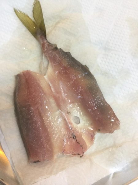 味のある鯵が爆釣な感じ。