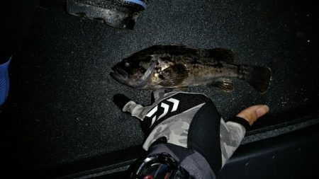 初ライトゲーム　港内