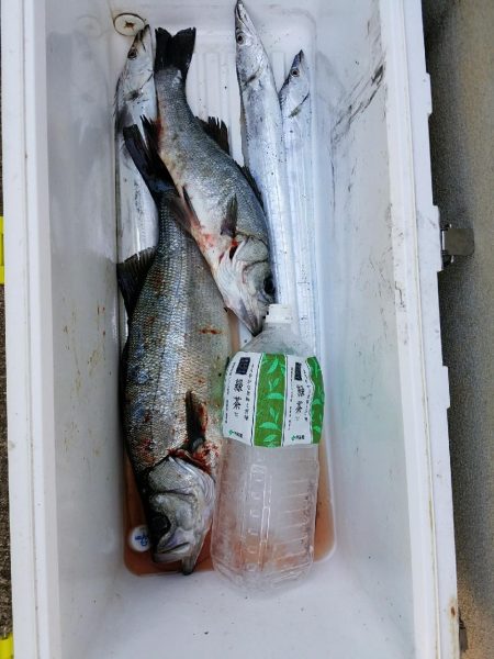 ルアーフィッシング