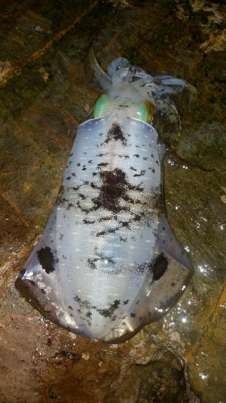 今シーズンラスト‼