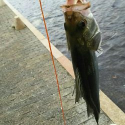 今日も仕事前に♪