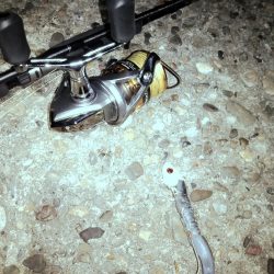 太刀魚釣り・・・渋かった(;´д｀)