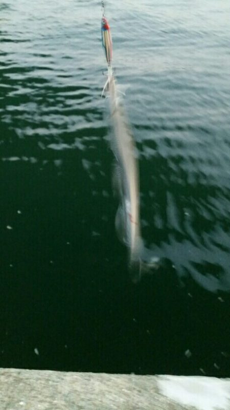 出ました!ドラゴン!!