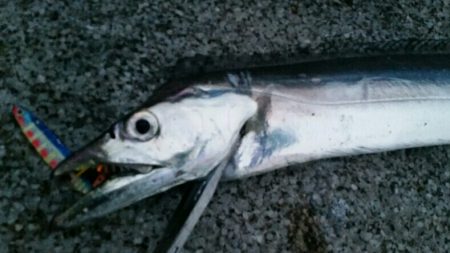 雨の中ドラゴンサイズ連発！！