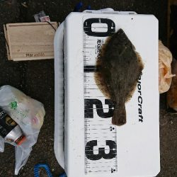 胴突き＆ヘチ釣り