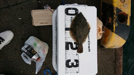 胴突き＆ヘチ釣り