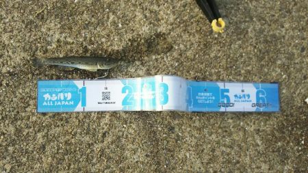 投げ釣りでハゼ釣り