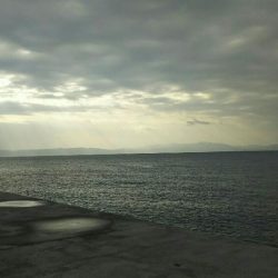 投げ釣りでキス、カレイ、サビキでアジ、サヨリ