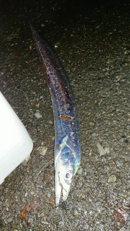 早起きしないと