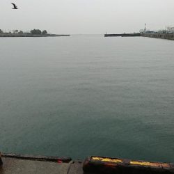 人っこ一人いない