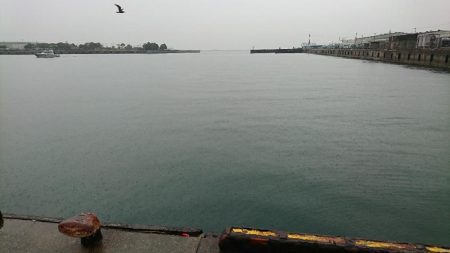 人っこ一人いない