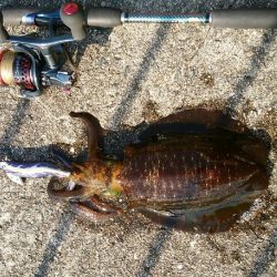 運良く１杯(;^_^A