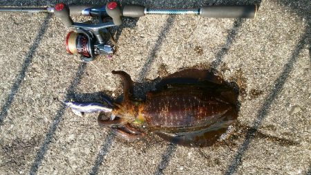 運良く１杯(;^_^A