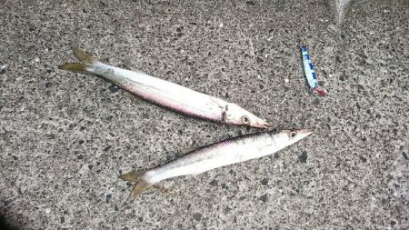 親父との釣行