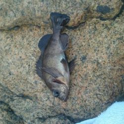 おだやかな天気でした