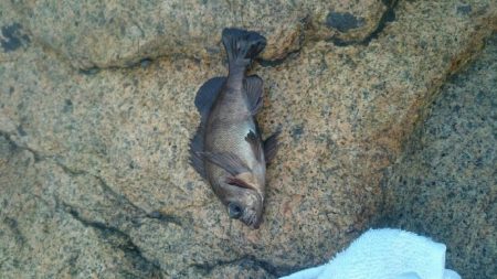 おだやかな天気でした