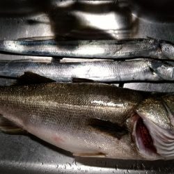 70オーバー！！！