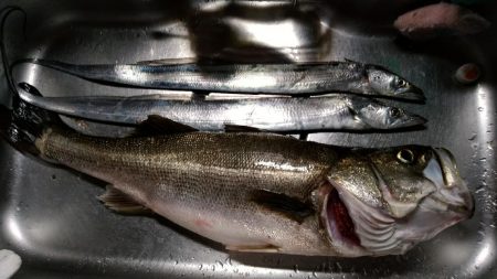 70オーバー！！！