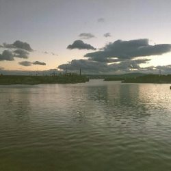 デーアジングは楽しい❗