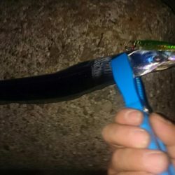 仕事終わりに。