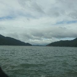 ショアジギング