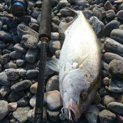 仁淀川河口 ショアジギング ネイリ