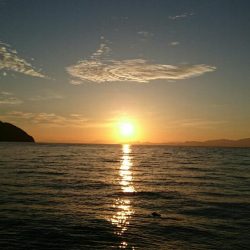 ボウズは免れたが、、