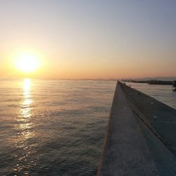 やっぱり不完全燃焼～太刀魚