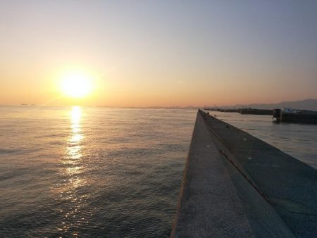 やっぱり不完全燃焼～太刀魚