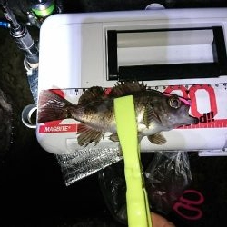 ライトゲーム楽しい！