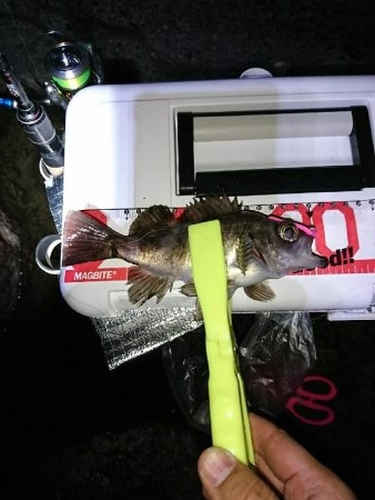 ライトゲーム楽しい！