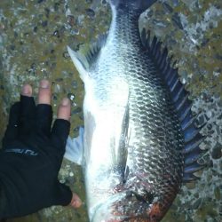 堪能出来ました