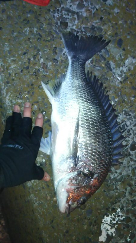 堪能出来ました